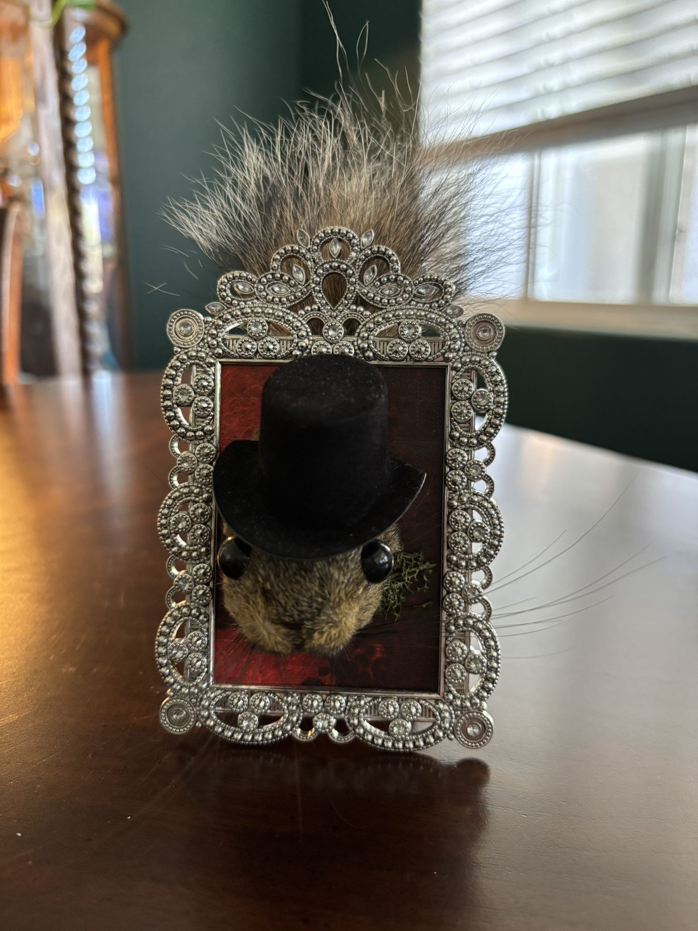 Taxidermy Squirrel Oddity