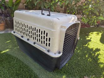 Dog kennel