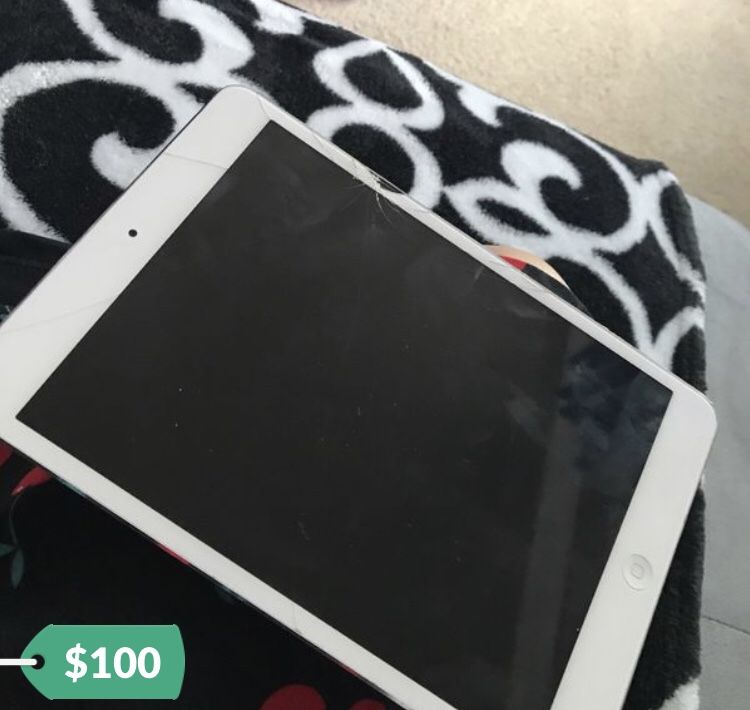 iPad mini