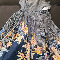 Brand New Charlotte Ruse Sundress