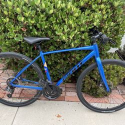 Giant Escape Bike