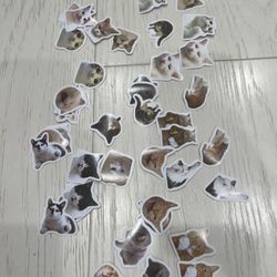 New 46 pcs cat stickers