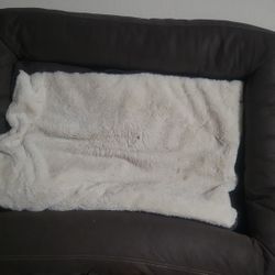Dog Bed