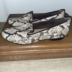 Clark’s Collection Woman Shoes