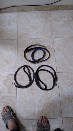 Leather dog leash and collar