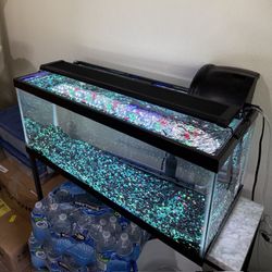 20 Gallon Tank