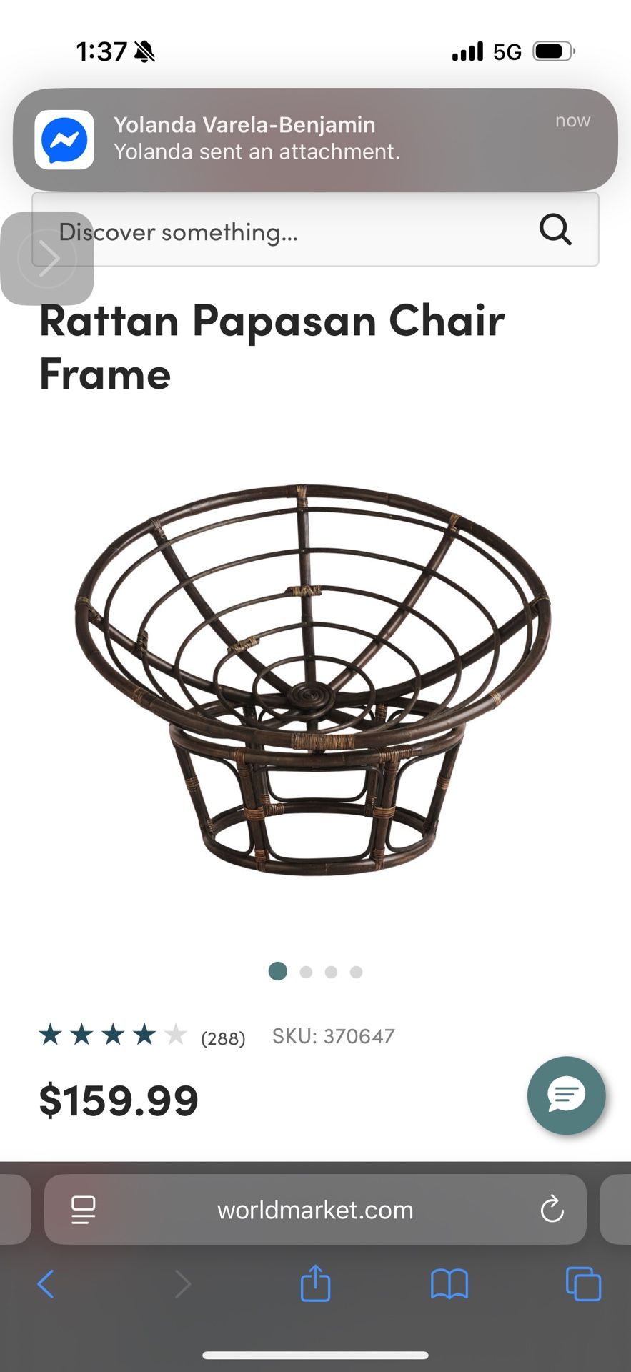 World Market Papasan Chair & Cushion