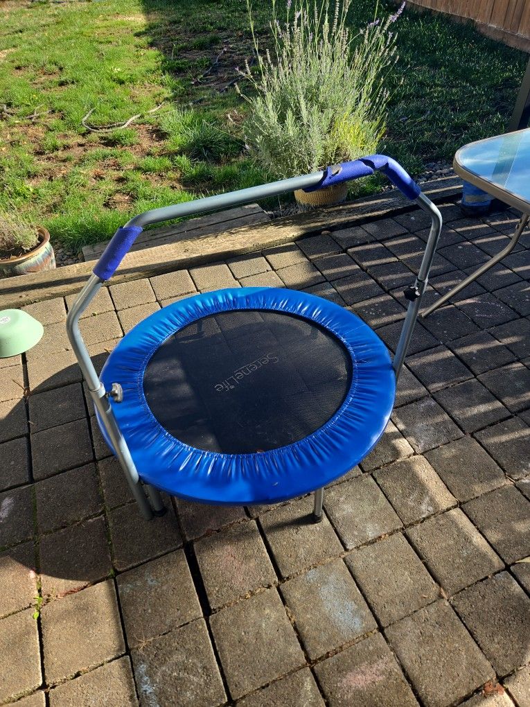 Adult Mini Trampoline 