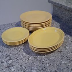 Fiesta Sunflower Yellow  16pc