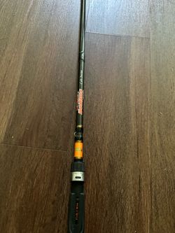 Fishing rods, Dobyns and Abu Garcia