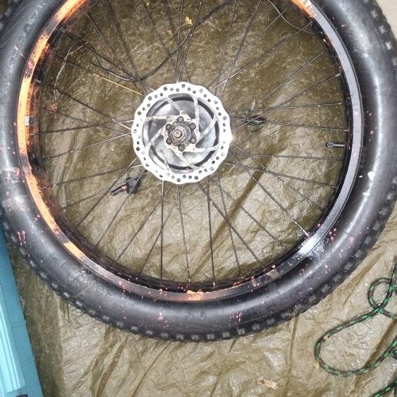 rad E Bike Tire