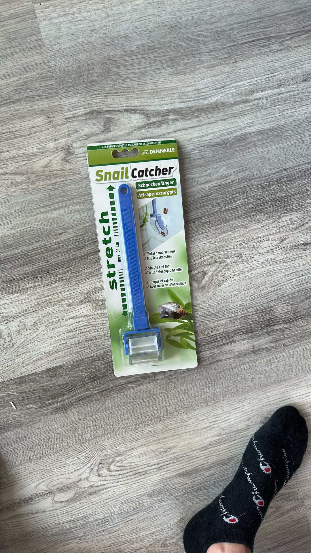 Snail Catcher
