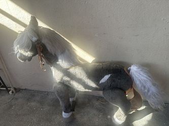 Riding Pony For Kids