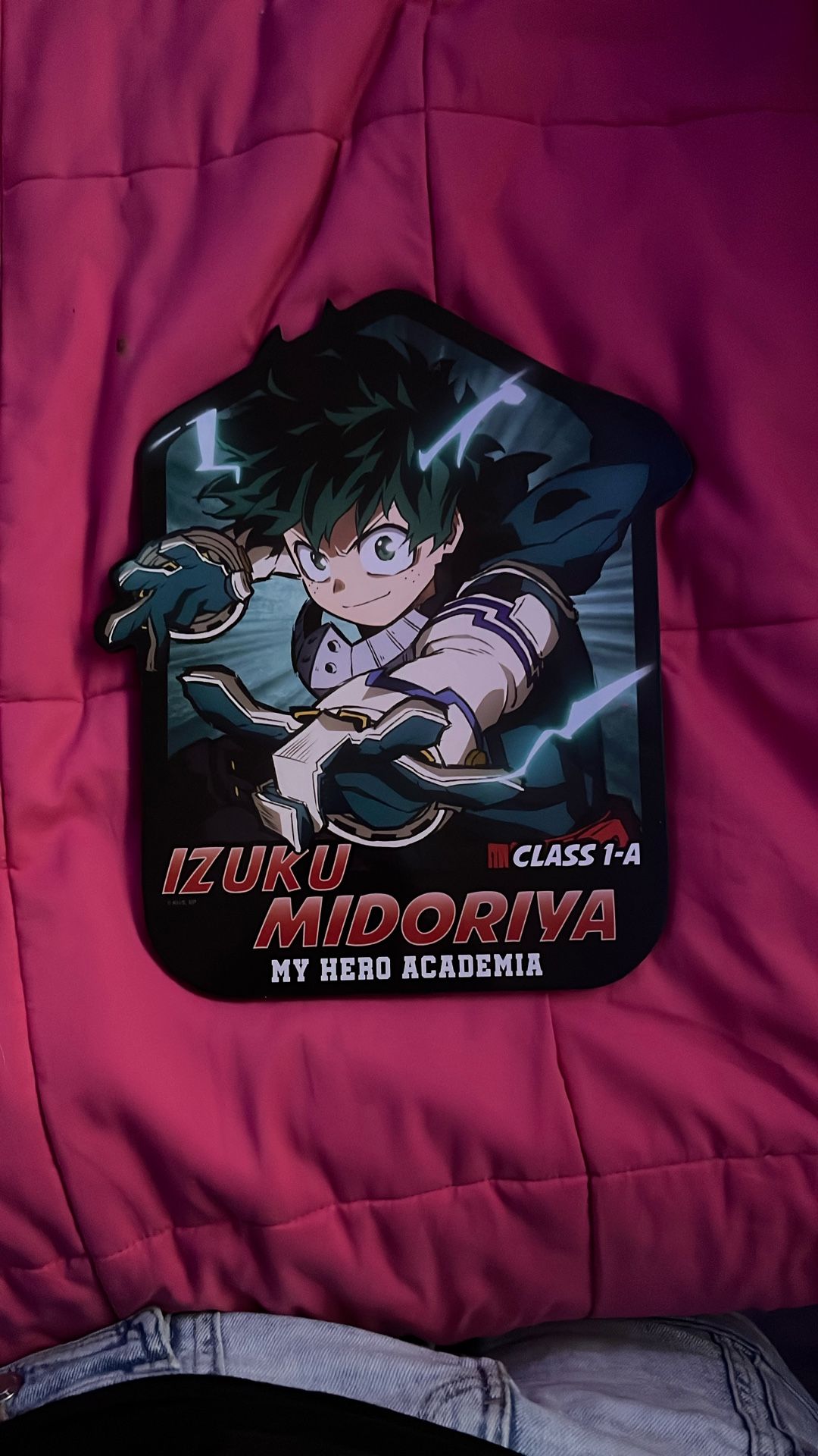 Izuku Midoriya (DEKU) Wood Wall Decor
