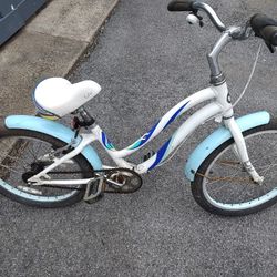 Giant Girls Bike
