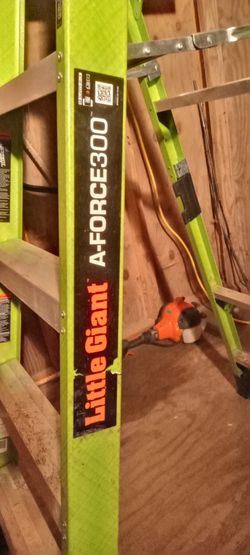 Little Giant A-Force 300 ladder