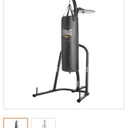 Everlast Punching Bag With Bundle
