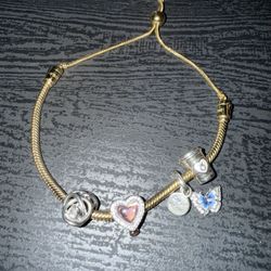 Pandora Charm Bracelet  