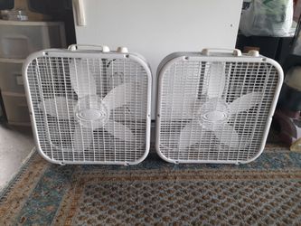 Fans