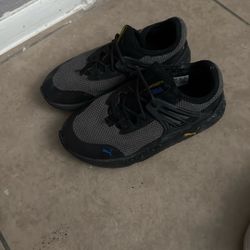 Pumas 