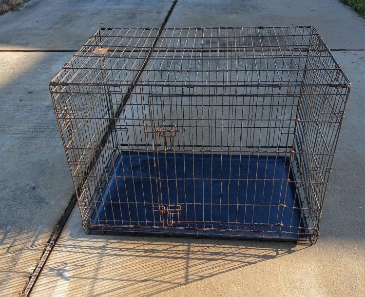 Large Dog Crate 30W x 44L x 36H