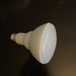 Free Lightbulb