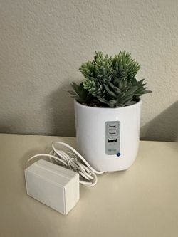 iHome PowerPlant Charging Station, Faux Succulent