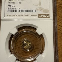 MS70 NGC Egyptian Scarab Private Issue