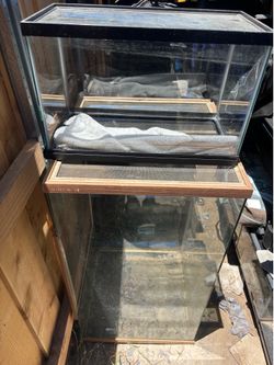 Free Aquariums and terrariums