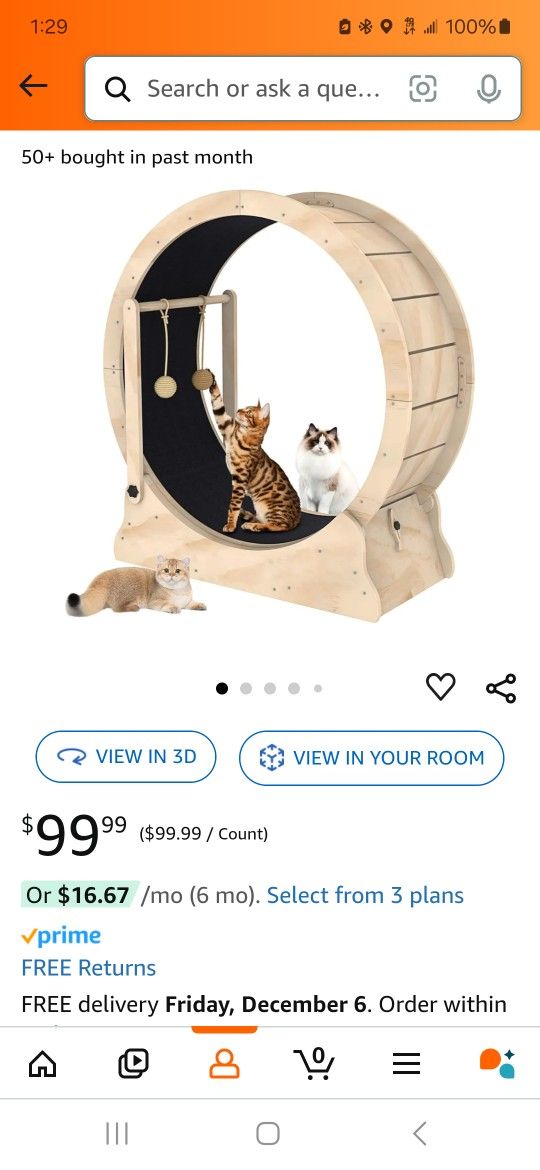 Cat Exercise Wheel