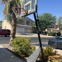 Full Size Basketball Hoop For Free