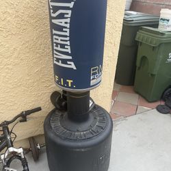Everlast Punching Bag