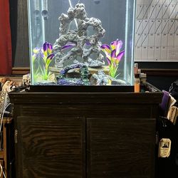 42 Gal Tall Aquarium And Cabinet Stand With Storage 