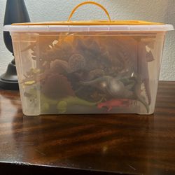 Mystery Box Of Assorted Dinosaurs