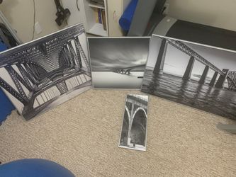Professional Bridge Photography in Frames