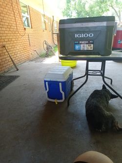 Ice Chest