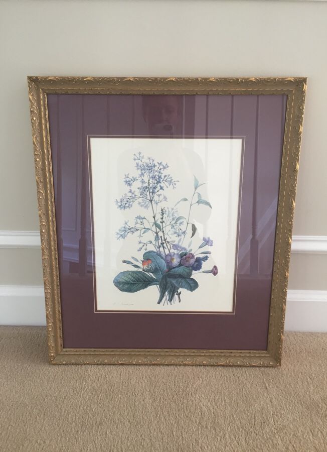 Botanical custom framed print. High end framing. Measures 18"x21"