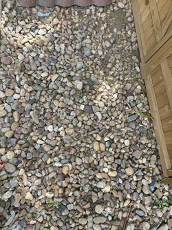 FREE rock