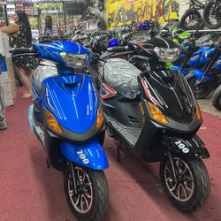 Razor 200cc Brand New 