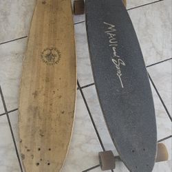 Longboard Pintal