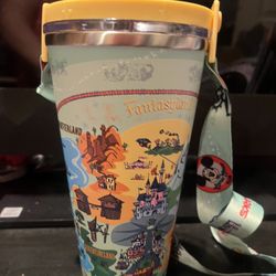 Disney Cup 