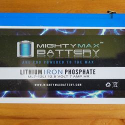MightyMax 12.8 Volt Lithium Iron Phosphate Battery