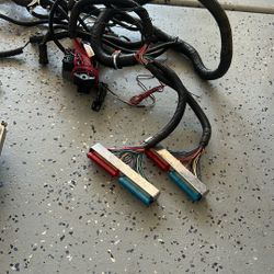 Ls Wiring 