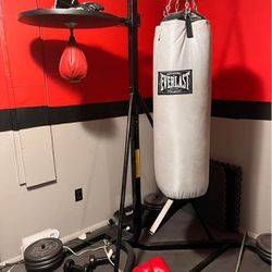 Heavy Bag + Speed bag + Stand and X12 25lb Weights 
