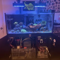 Red Sea 350 Aquarium 