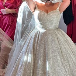 Shimmery Champagne Color Cathedral Veil