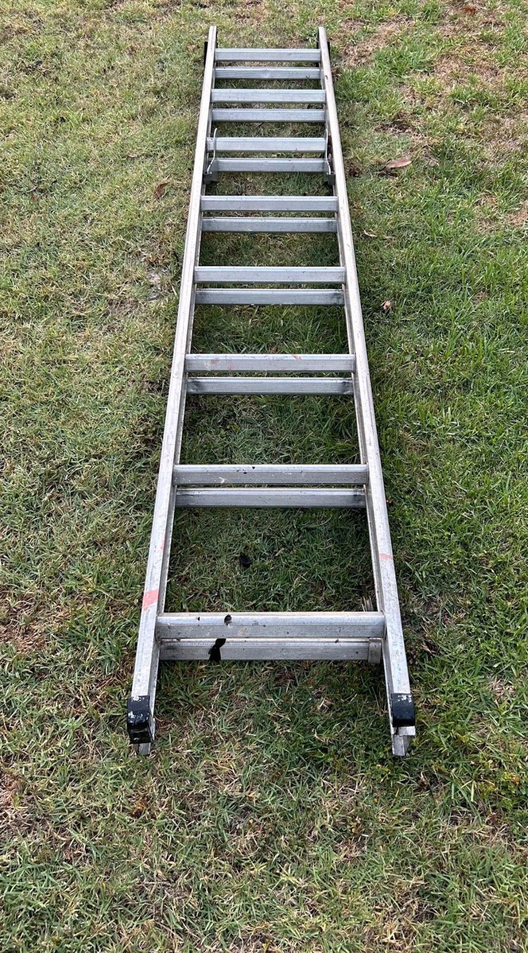 16” Ladder