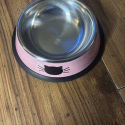 New Cat Bowl