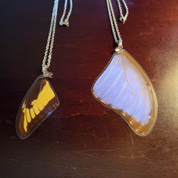 Real Butterfly Wings Necklace 