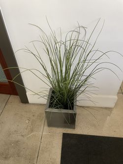 Fake Plant With Aluminum Cube Pot